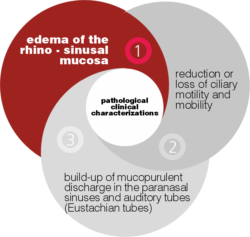 Edema de la mucosa rino-sinusal