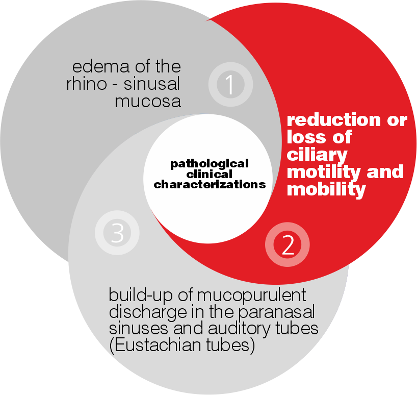 Reducción o bloqueo de la movilidad y motilidad ciliar 